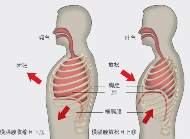 17675409812081beeb7a8a6f2b3948a7f5db36a395.png image.png