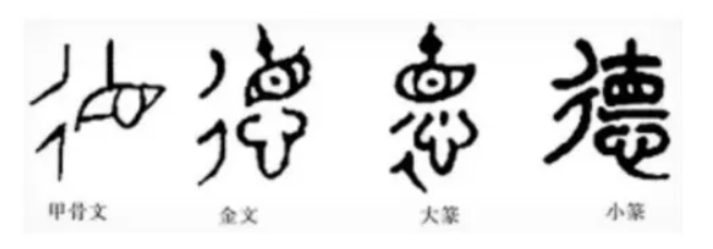 17693398722081beeb7a8a6f2b3948a7f5db36a395.png image.png